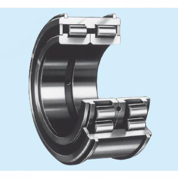 Bearing RS-4834E4