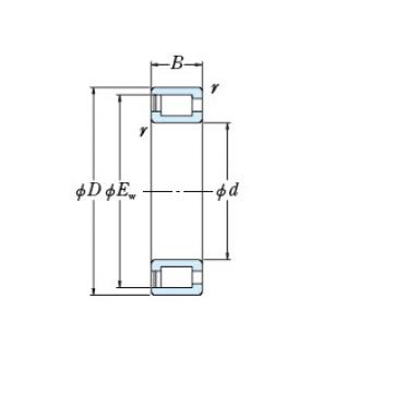 Bearing NCF1868V