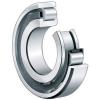 Bearing NNCL4956 V ISO