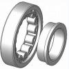 Bearing NCF1836-V NKE