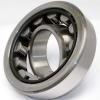 Bearing NCF1836-V NKE